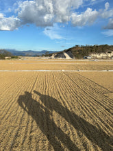 Load image into Gallery viewer, El Chollo, Honduras