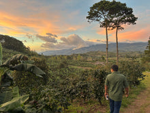 Load image into Gallery viewer, El Chollo, Honduras