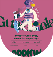 Load image into Gallery viewer, Tinamit, Guatemala