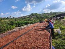 Load image into Gallery viewer, Musaza, Rwanda
