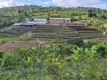 Load image into Gallery viewer, Musaza, Rwanda
