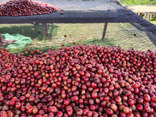 Load image into Gallery viewer, Musaza, Rwanda
