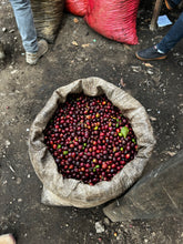 Load image into Gallery viewer, Tinamit, Guatemala
